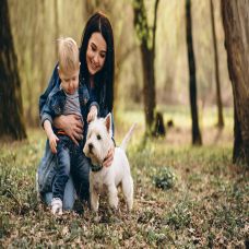 HOW TO EASILY ADOPT A DOG?